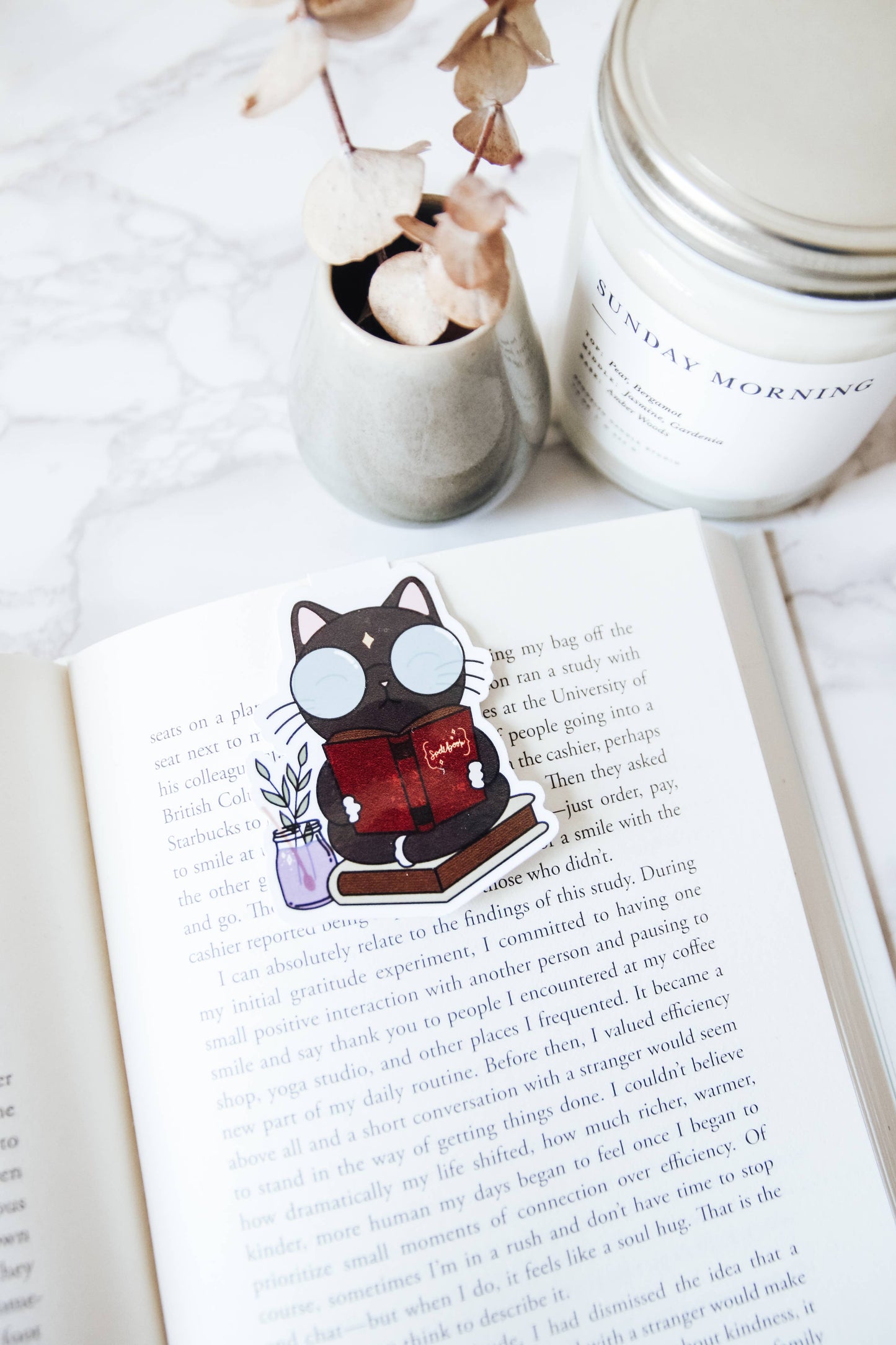 Magic Cat Magnetic Bookmark