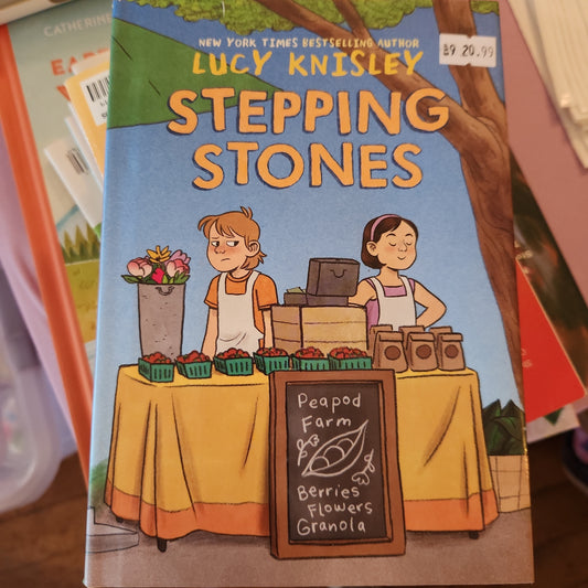 Stepping Stone (graphic novel)