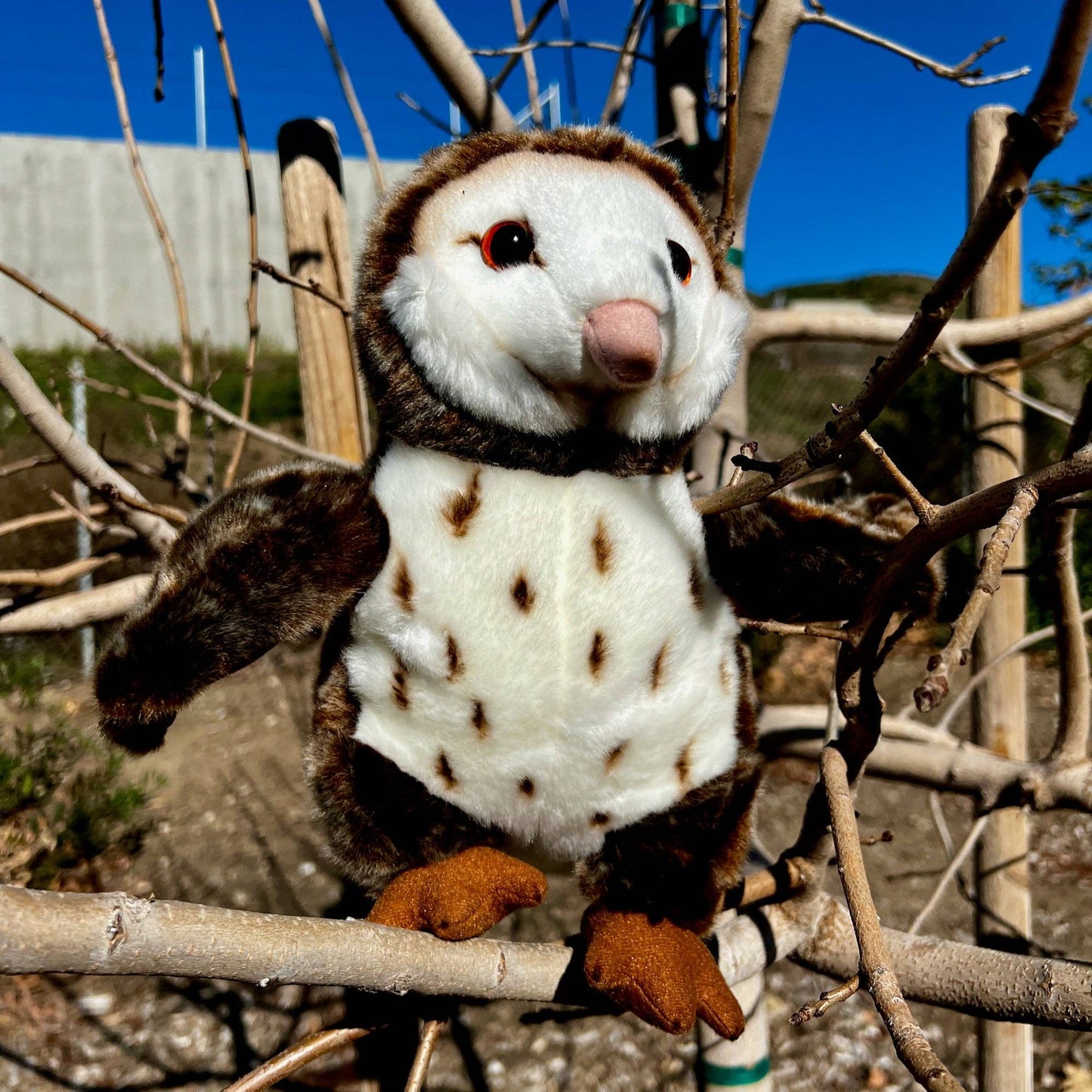 11" Stuffed Barn Owl