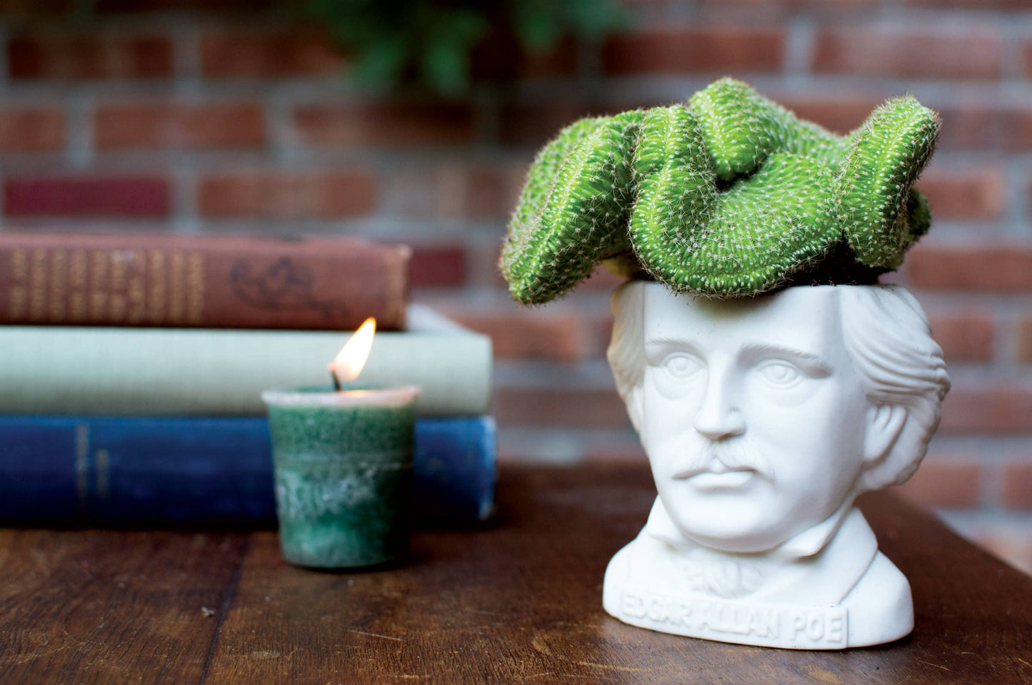 Edgar Allan Poe Planter