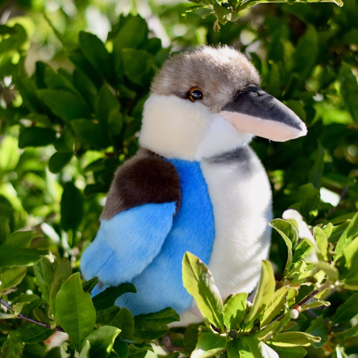 12" Stuffed Kookaburra