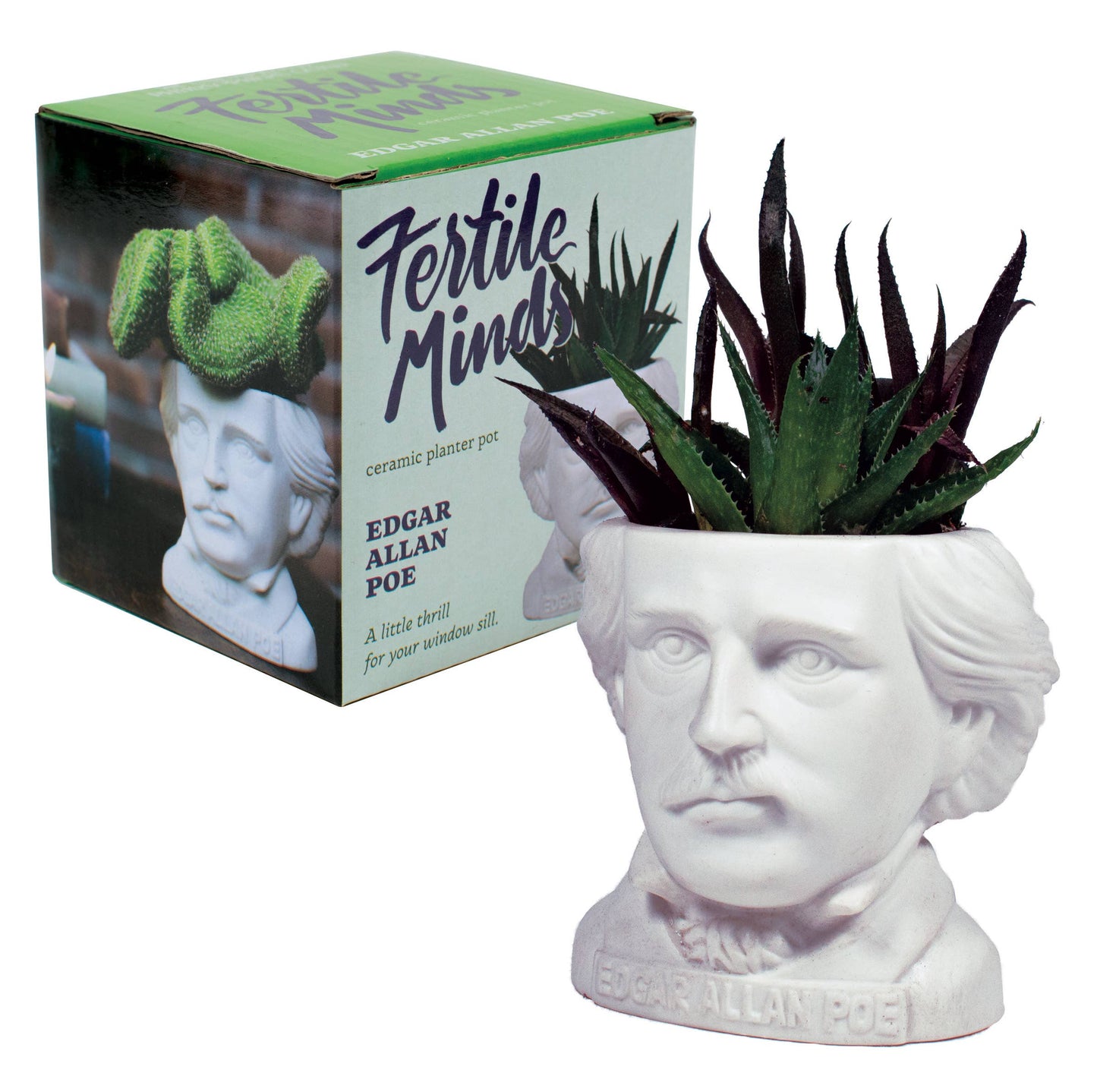 Edgar Allan Poe Planter